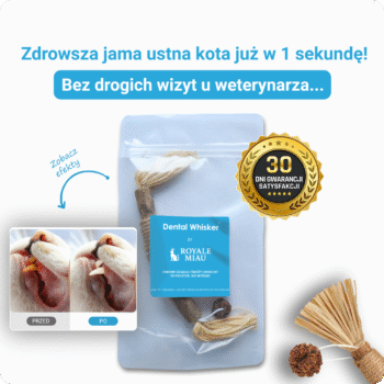 2x Dental Whisker™ - Zdrowsza jama ustna kota już w 1 sekundę
